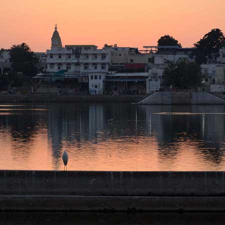 Pushkar DMC